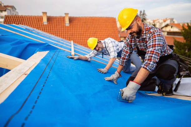 Best 4 Ply Roofing  in Llington, MI