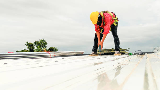 Best Roof Moss and Algae Removal  in Llington, MI