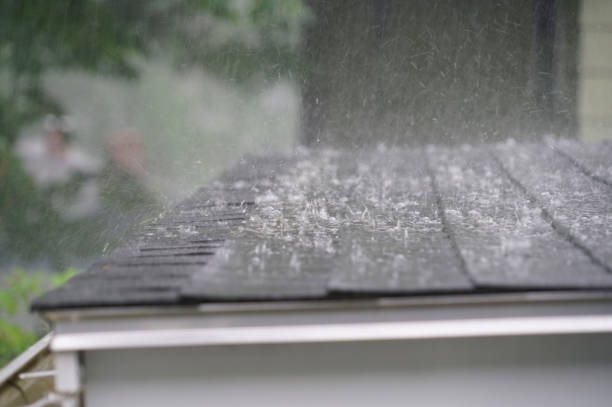Best Asphalt Shingle Roofing  in Llington, MI
