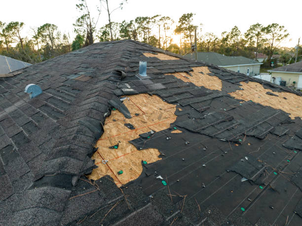 Best Skylight Installation and Repair  in Llington, MI