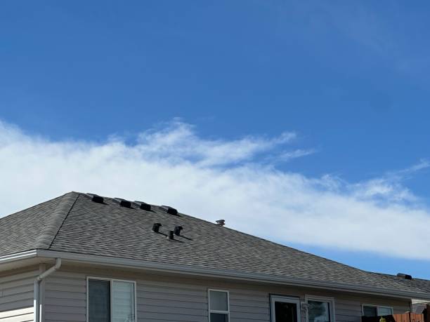 Best Slate Roofing  in Llington, MI